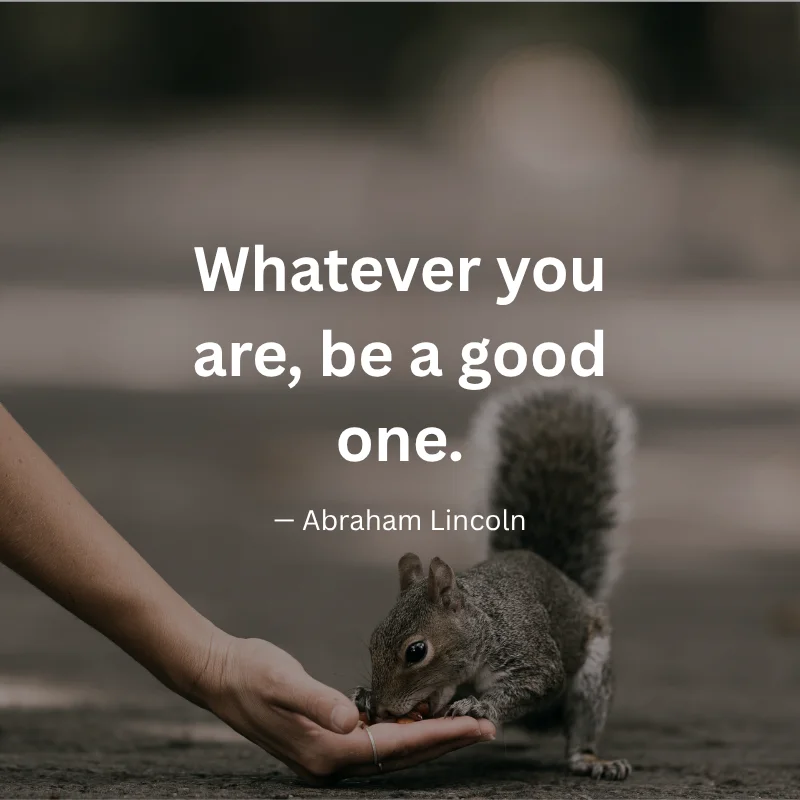Whatever you are, be a good one. — Abraham Lincoln