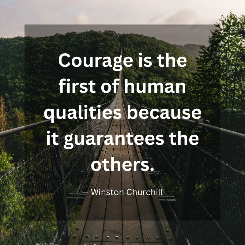 Courage is the first of human qualities because it guarantees the others. — Winston Churchill