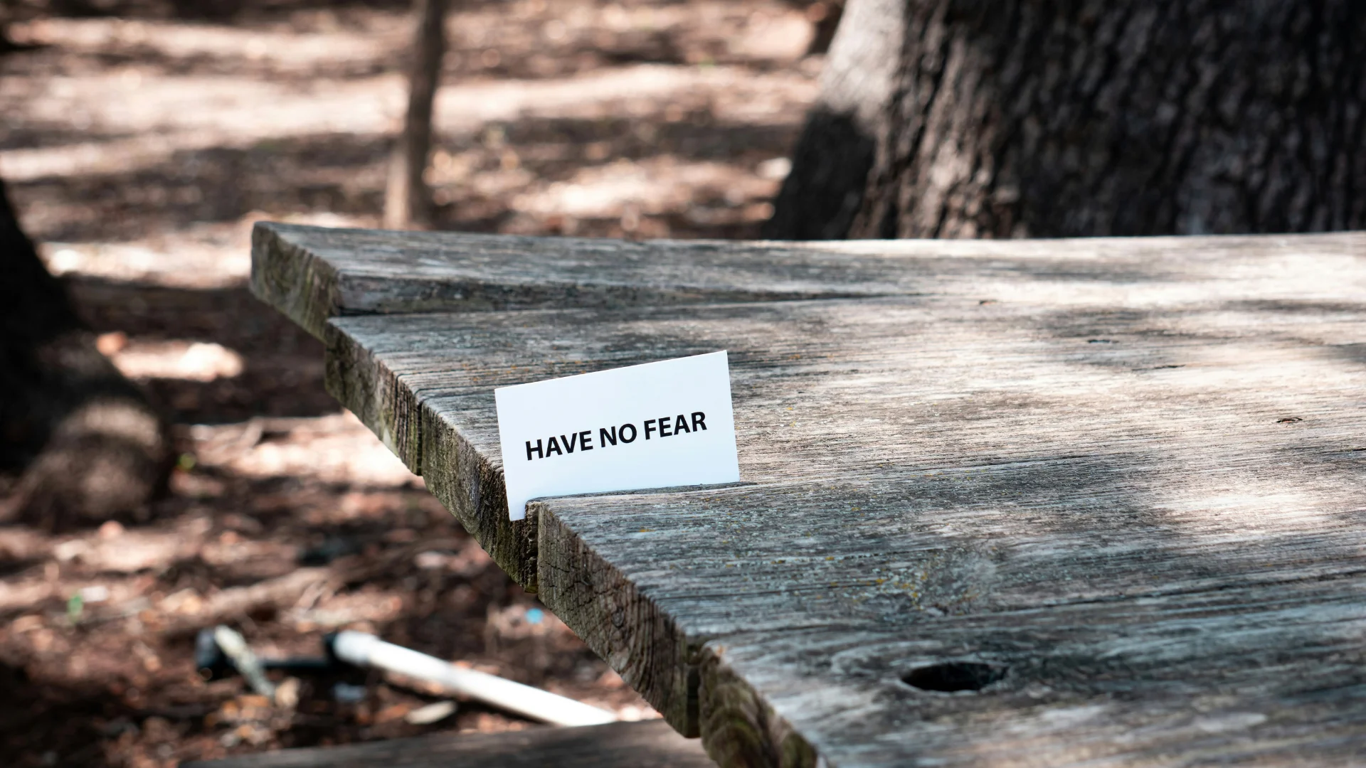 Fearless Quotes