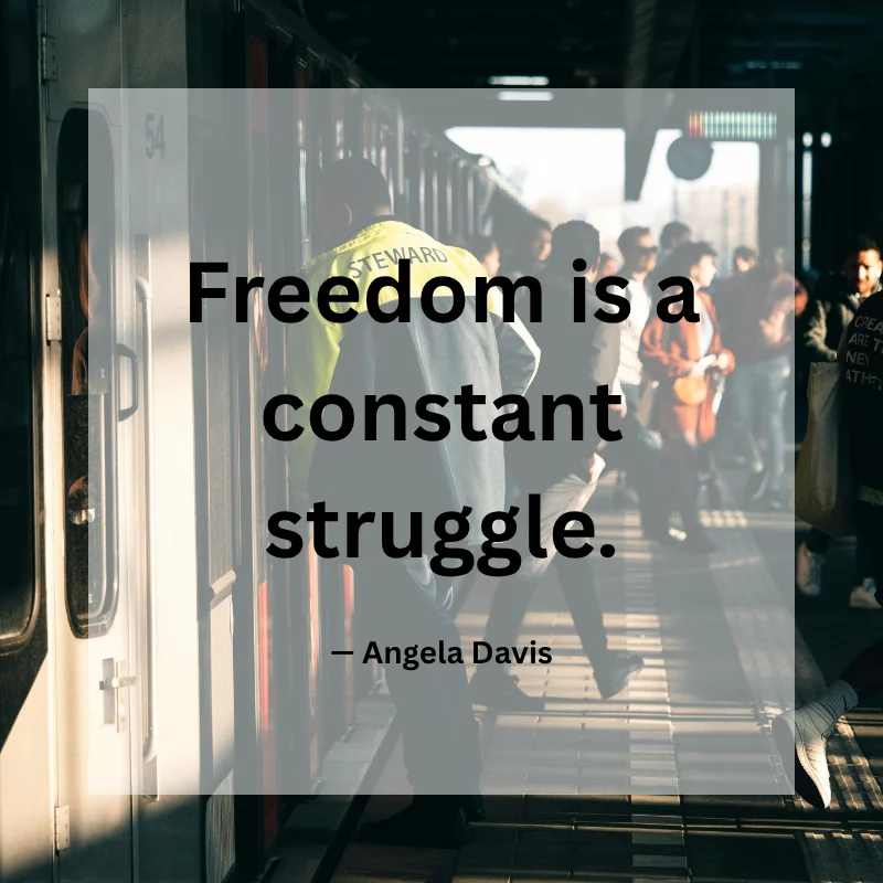 Freedom is a constant struggle. — Angela Davis