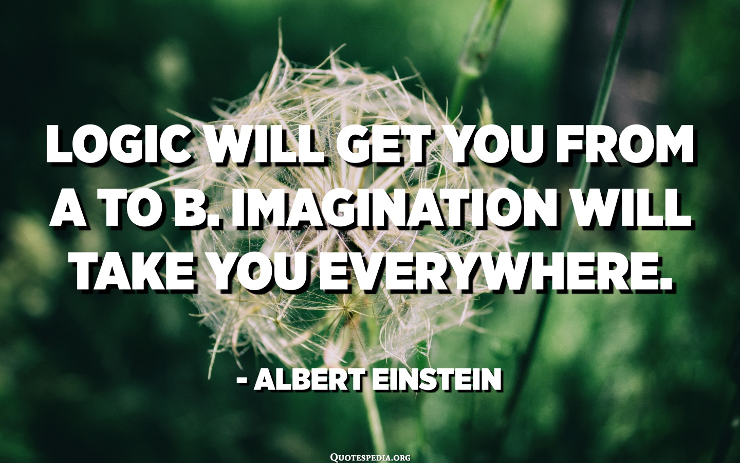 Logic Will Get You From A To B. Imagination Will Take You Everywhere ...