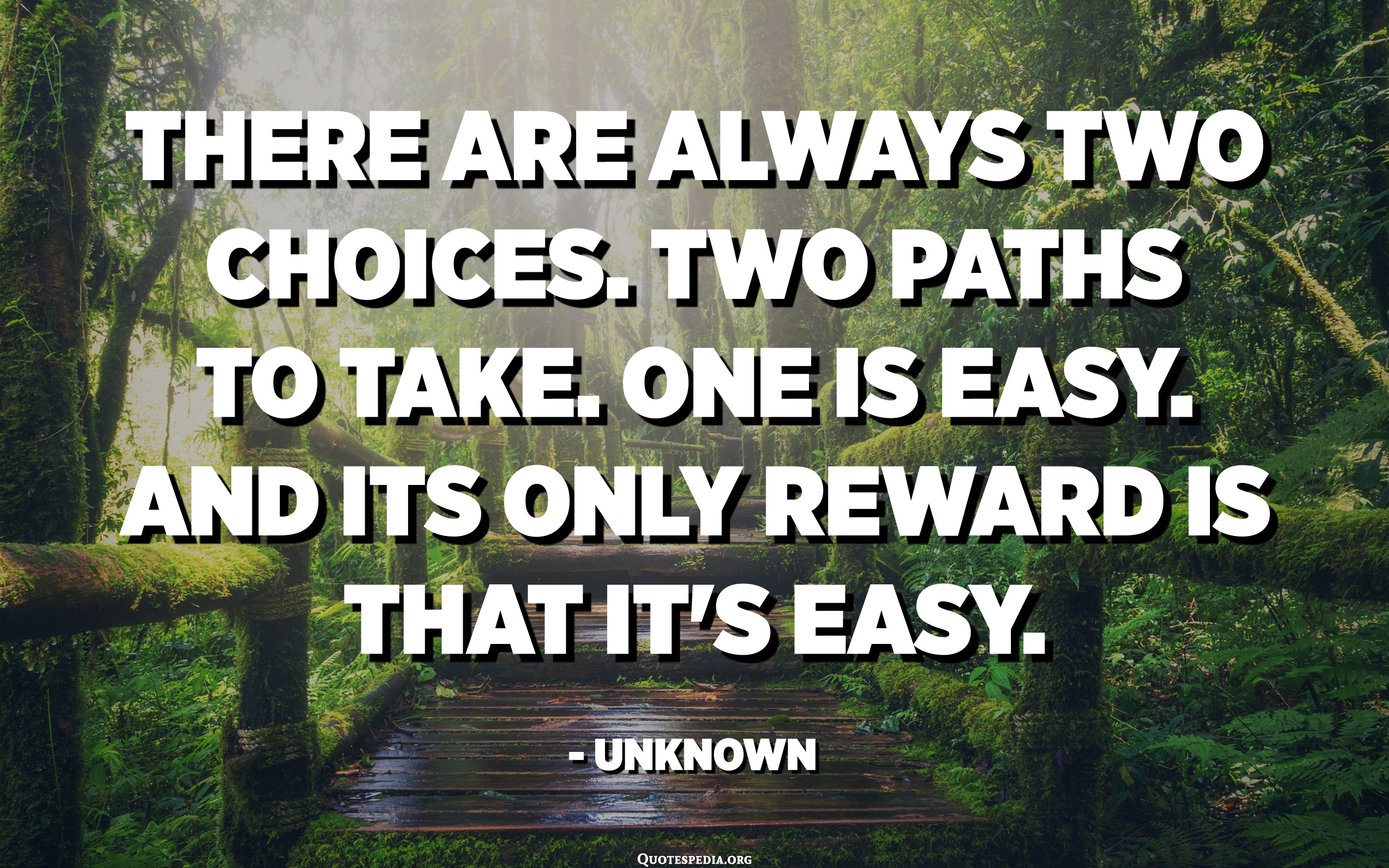 There Are Always Two Choices. Two Paths To Take. One Is Easy. And Its ...